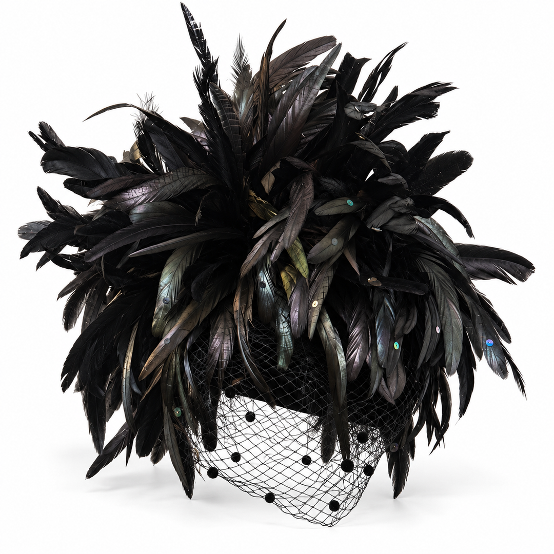Whittall &amp; Shon Schwarzer Kakadu-Fascinator mit Feder und Kristallbesatz